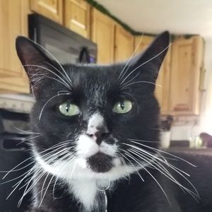 Meet your Posher, Kari